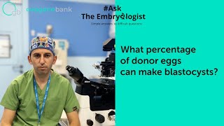 What Percentage Of Donor Eggs Can Make Blastocysts?