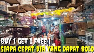Download Lagu BELI BURUNG BONUS BURUNG ?! YANG CEPAT AJA YANG DAPAT DAN PENAWARAN TERBATAS MP3