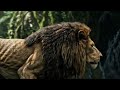 Did the fox escape from the lion? 🦁🦊 Clever Fox vs Hungry Lion Story   ai-kahani-box 