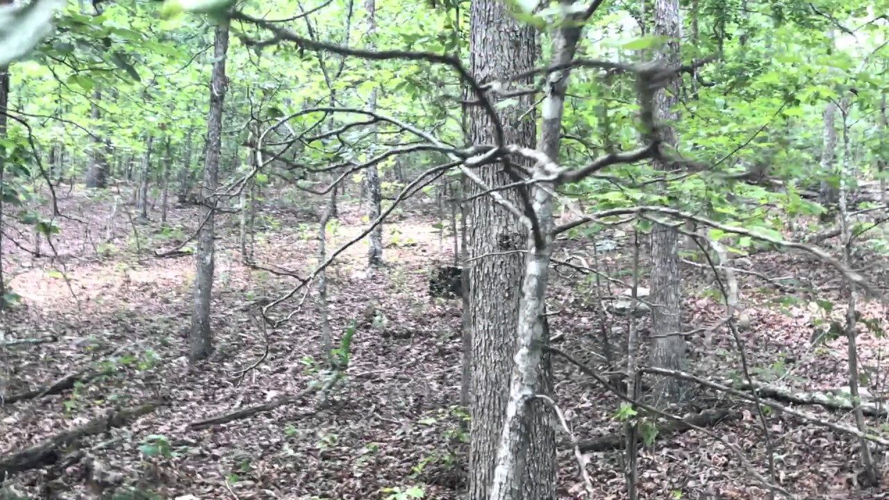 Private trail and building site on Tract 17 at Turkey Hollow - Nice!