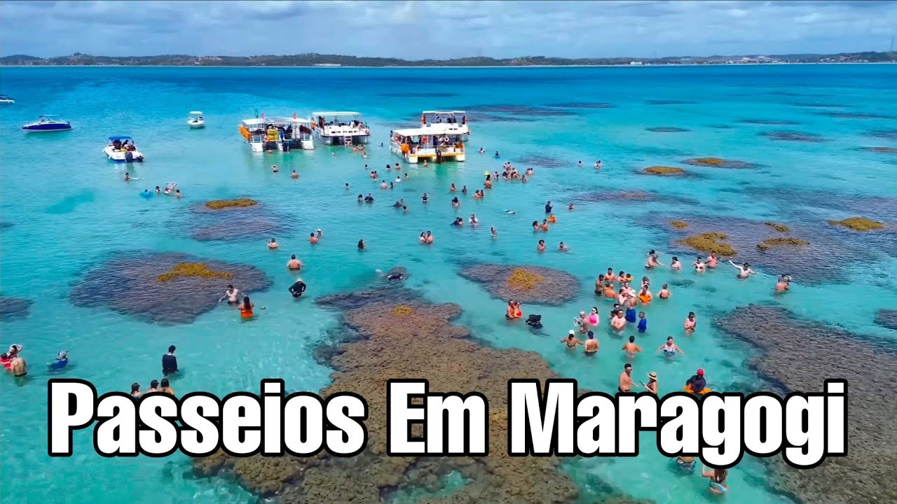 Maragogi Alagoas Melhores Passeios Para Piscinas Naturais 