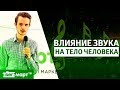 Как звук влияет на тело человека? Как погрузиться в звук и его почувствовать? Владимир Баранчук