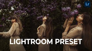 Lightroom Presets free download | Golden preset screenshot 2