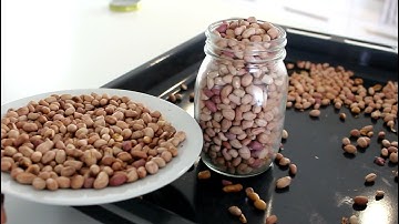 how to roast peanuts ( salt roasted peanuts)