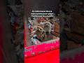 Des animaux filmés au moment parfait 📸 #videosanimaux #shorts