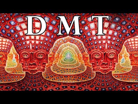 Download DMT: Portal to the Spirit World