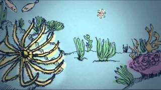 WWF -  Save The Ocean (storyboard)