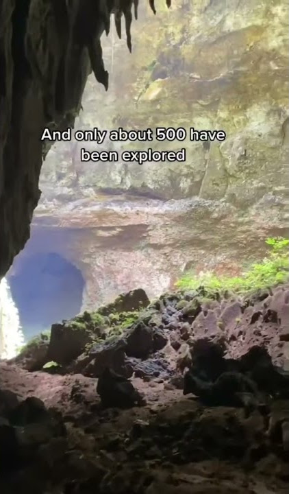 Cavernas de Camuy in Puerto Rico!