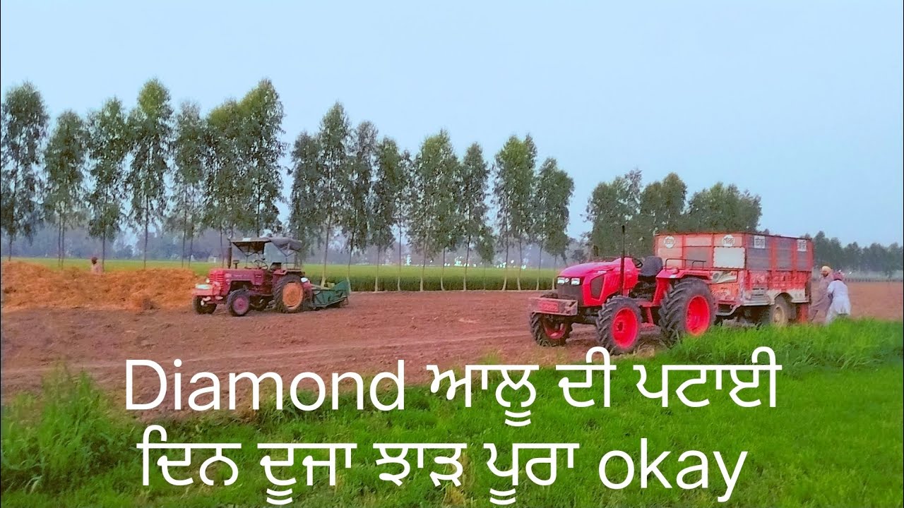 Potato ਦੀ ਪਟਾਈ ਦਿਨ ਦੂਜਾ ਝਾੜ ਪੂਰਾ ਵਧੀਆ😱#automobile#farming#jattvibes#tractor#agriculture#potato#viral