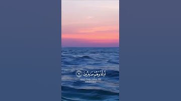 آيات من القرآن الكريم #آيات #قرآن #القرآن_الكريم #ياسر_الدوسري
