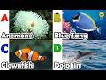 ABC phonics animals | ABC Sea Animals song | English and Animals for Kids | Alphabet Kid Song | Baby
