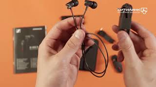Обзор наушников SENNHEISER IE 800 S | Ситилинк