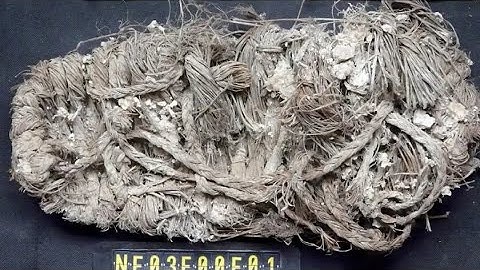 13th Century Sandal Discovered in Bearded Vulture Nest: Ancient Artifacts Unearthed