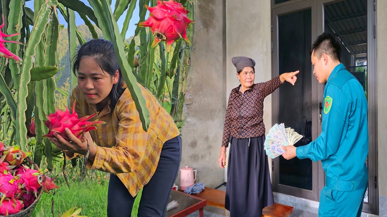 FULL VIDEO: Single mother picks fruit in the forest to sell and gets ...