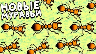 видео: МУРАВЬЕВ СТАНОВИТЬСЯ ВСЁ БОЛЬШЕ ▶ Pocket Ants: Симулятор Колонии Обзор картинка: МУРАВЬЕВ СТАНОВИТЬСЯ ВСЁ БОЛЬШЕ ▶ Pocket Ants: Симулятор Колонии Обзор