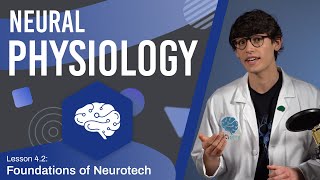 How Neurons Give Rise to Our Thoughts - Lesson 4.1