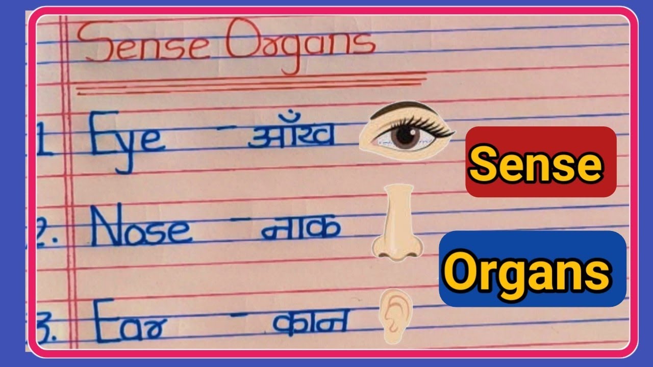 sense-organs-5-sense-organs-writing-name-sense-organs-name-name-of