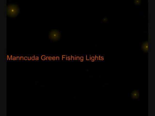 Underwater Fishing Lights - NEW AA Battery Operated - Night Fishing Made  Easy 