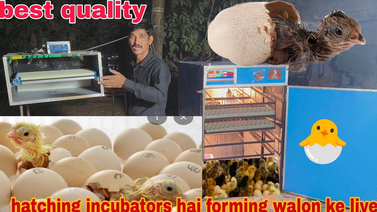 Warming walon ke liye incubators hai best quality mein available in Hyderabad