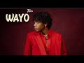 Tekno - Wayo (Official Lyrics Video)