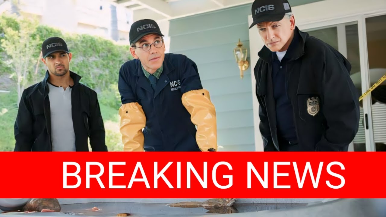 Huge Update | It’s Over | Heartbroken | NCIS Season 21 | Drop Shocking News | It well shock You |