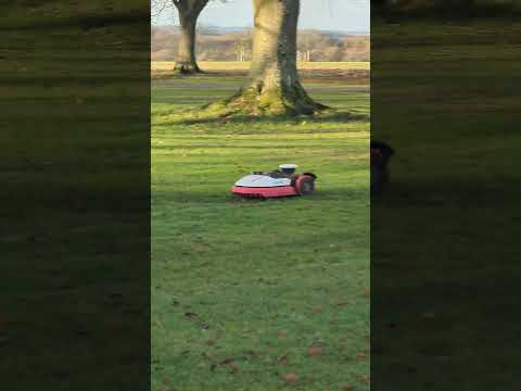 Charlie the lawnmower!