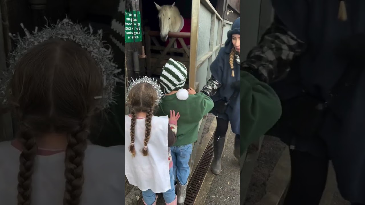 Festive Fun at Pennywell Farm's Christmas Experience 🎅🌟