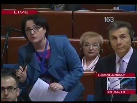 ხიდაშელი და ივანიშვილი ევროსაბჭოში ტელეიმედის თემას შეეხნენ