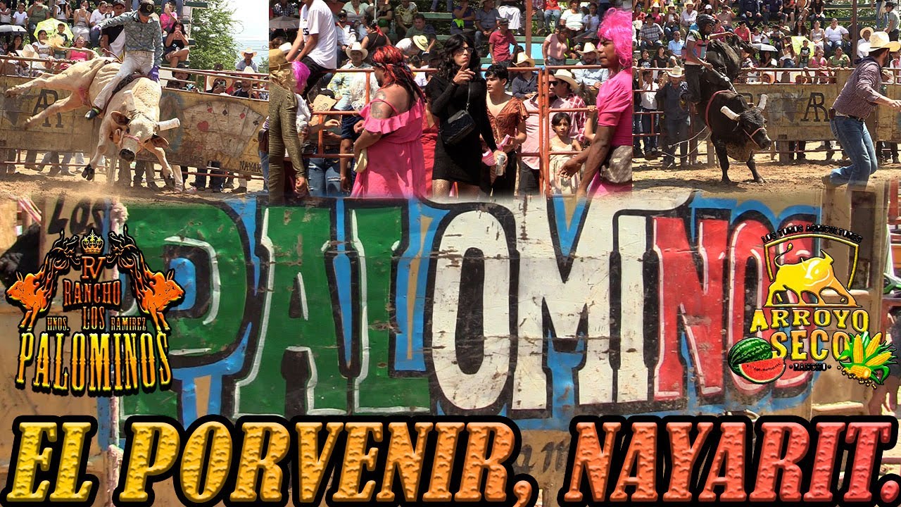 !!!LAS TRADICIONALES MOJIGANGAS Y TORO DE ONCE EN PORVENIR NAYARIT NO PASAN DE MODA!!!RANCHO LOS PAL