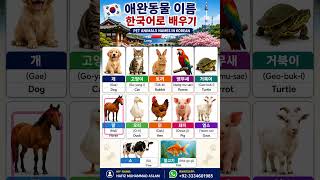 Pet Animals Names in Korean | Learn Korean Vocabulary with English &amp; Romanization | 한국어 동물 이름