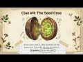 NCERT Science | Class 6 | CH2 - U3 - Diversity in the Living World