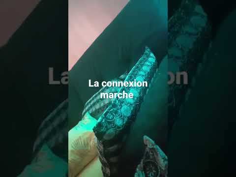 la connexion marche