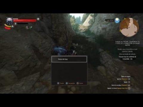 Garkin Witcher The Witcher 3: Le dernier combat contre ce Garkain et ce Noctule - YouTube