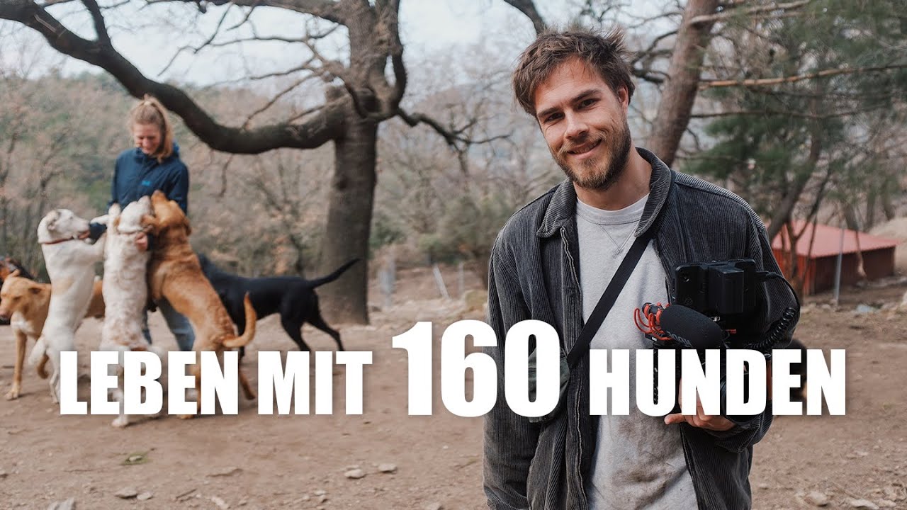 Wir besuchen einen Shelter | TIERHEIM REALITÄT (Vanlife Griechenland)