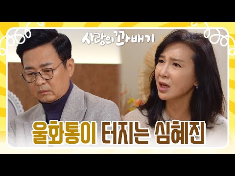 ＂함은정이 받았을 상처를 생각하면 울화통이 터지는 <strong>심혜진</strong> [사랑의 꽈배기] | KBS 220103 방송