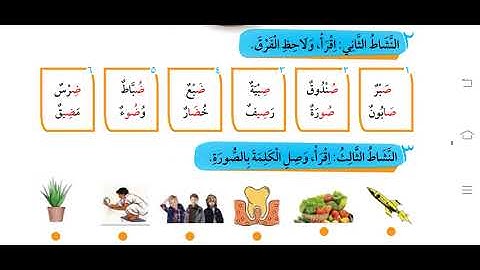 Learn Arabic from scratch : Lesson 8 - The Speaking Course for Absolute Beginners