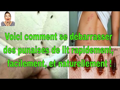 Vidéo: Obtenez Des Remèdes Contre Les Punaises De Lit: Mode D'emploi Du Poison, Composition. Remèdes Solides Et Autres, Examinez Les Critiques