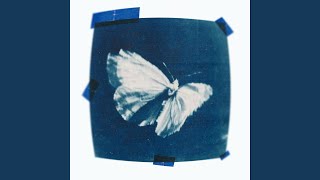 flutter pt. 2