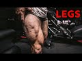 How To Get Bigger Legs! (PPL: Sets & Reps)