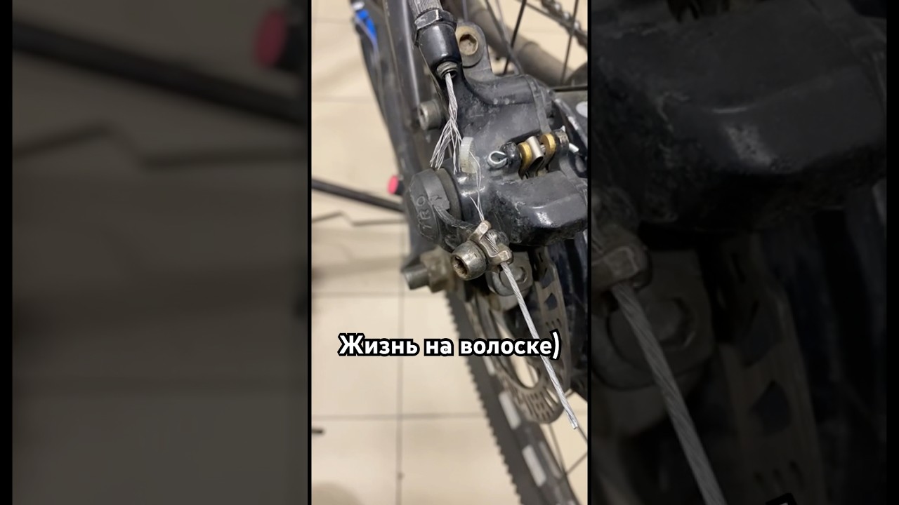 Как говорится, жизнь висит на волоске)