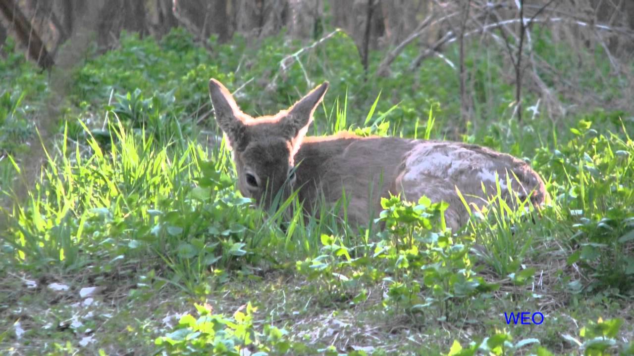 Photos by Wayne Etmanski Outdoors