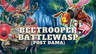 Beetrooper/Battlewasp Gameplay/Deck Profile (Post DAMA)