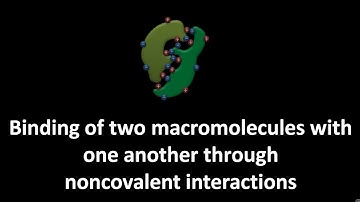 Noncovalent interactions between two macromolecules
