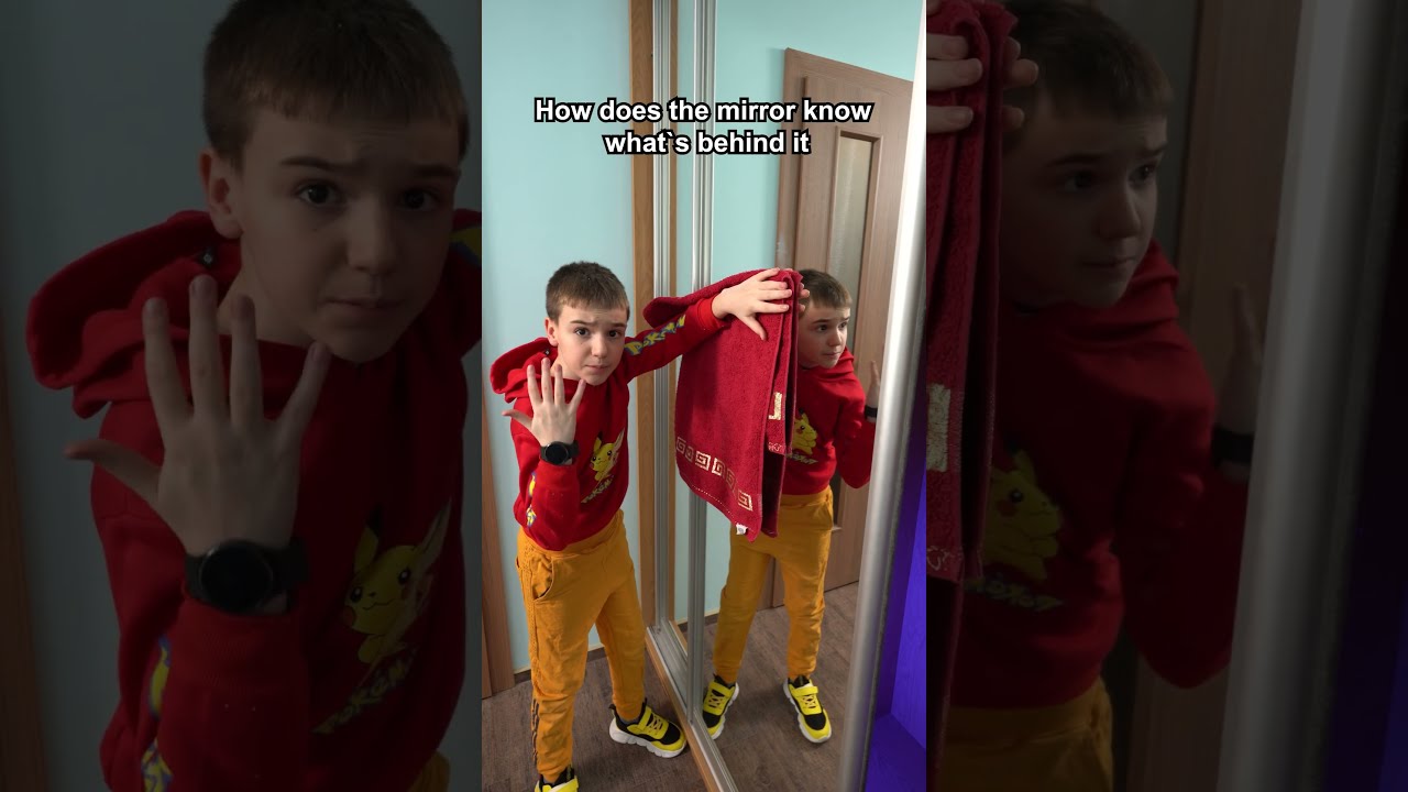 How Does The Mirror Know What S Behind It Shorts