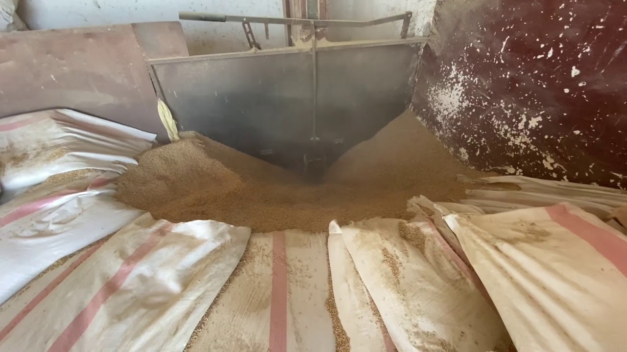 Çeltik’ten pirince.. Çeltik fabrikası