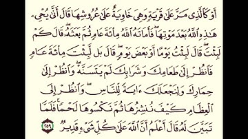 قراءة لآية أو كالذي مر على قرية من سورة البقرة جميلة جداً ...