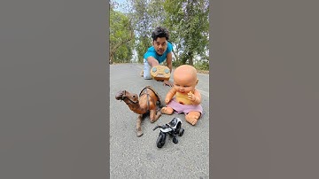 RC remote control realistic Camel unboxing 🐫#shorts