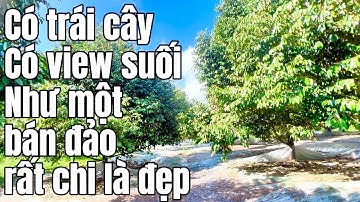 Cô nhung lớn tuổi rồi nên không còn khả năng chăm vườn nữa nên bán mãnh vườn cây ăn trái ở BRVT