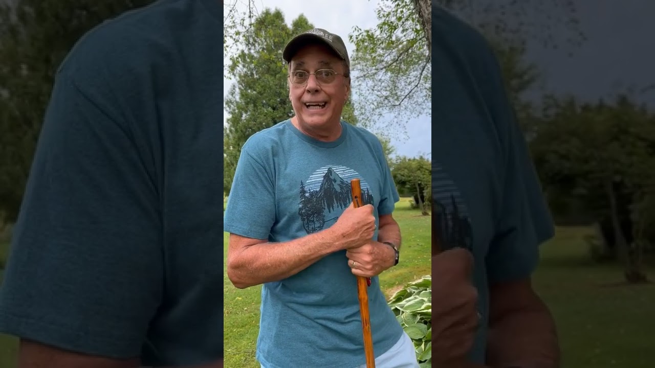 Is that killing my tree???