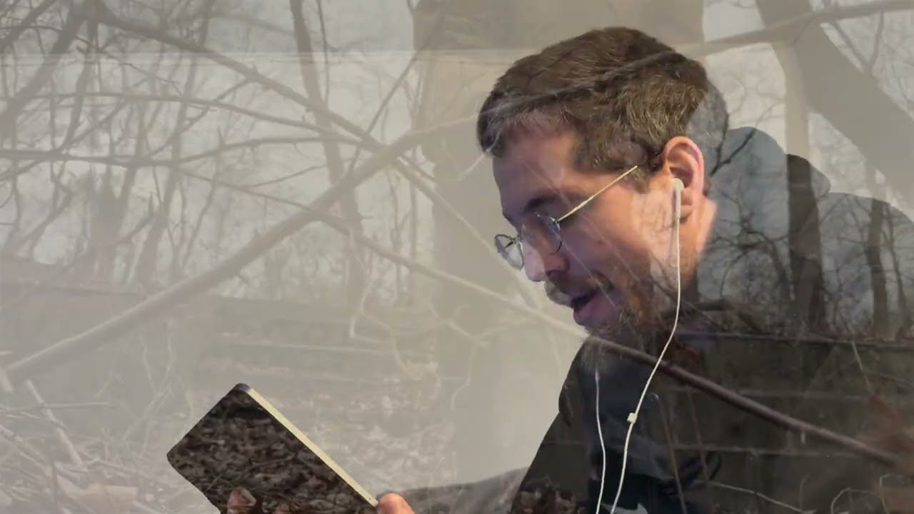 Ver New York Peace Depot (just a walk in the wuds) N Live From The Upside-Down no YouTube Ver New York Peace Depot (just a walk in the wuds) N Live From The Upside-Down no YouTube